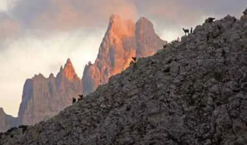 Warum ist die Eintragung der Dolomiten in die Welterbeliste wichtig?