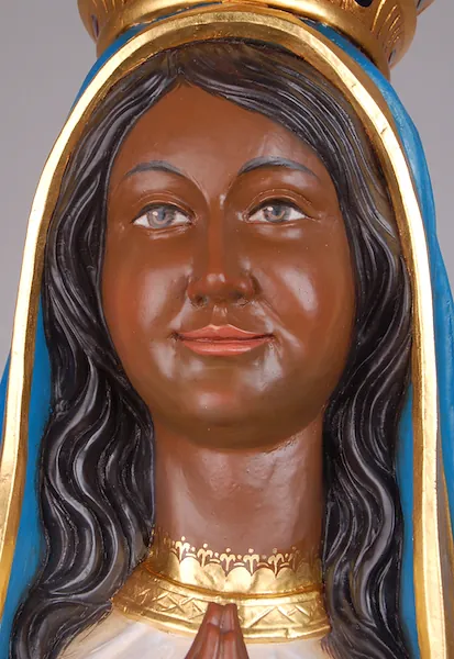 Detailed picture of the face