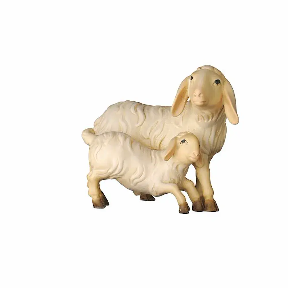 Schaf stehend mit Lamm