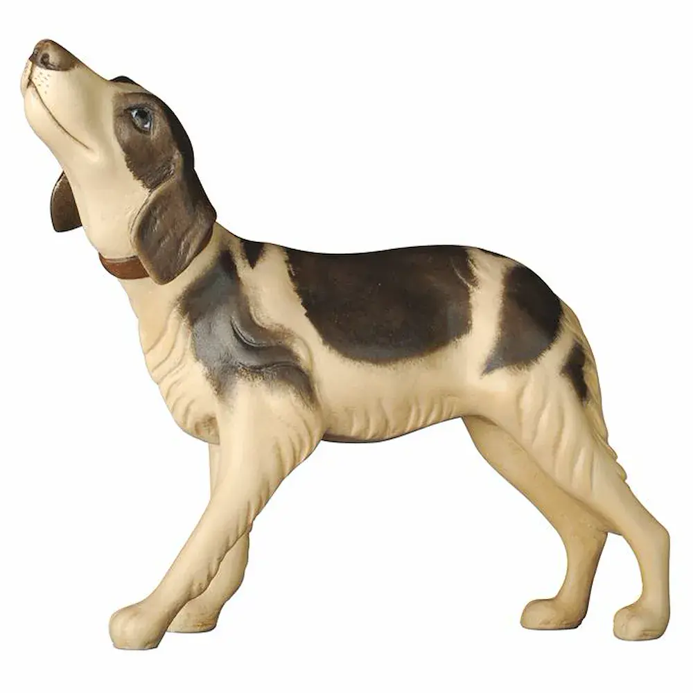 Hund