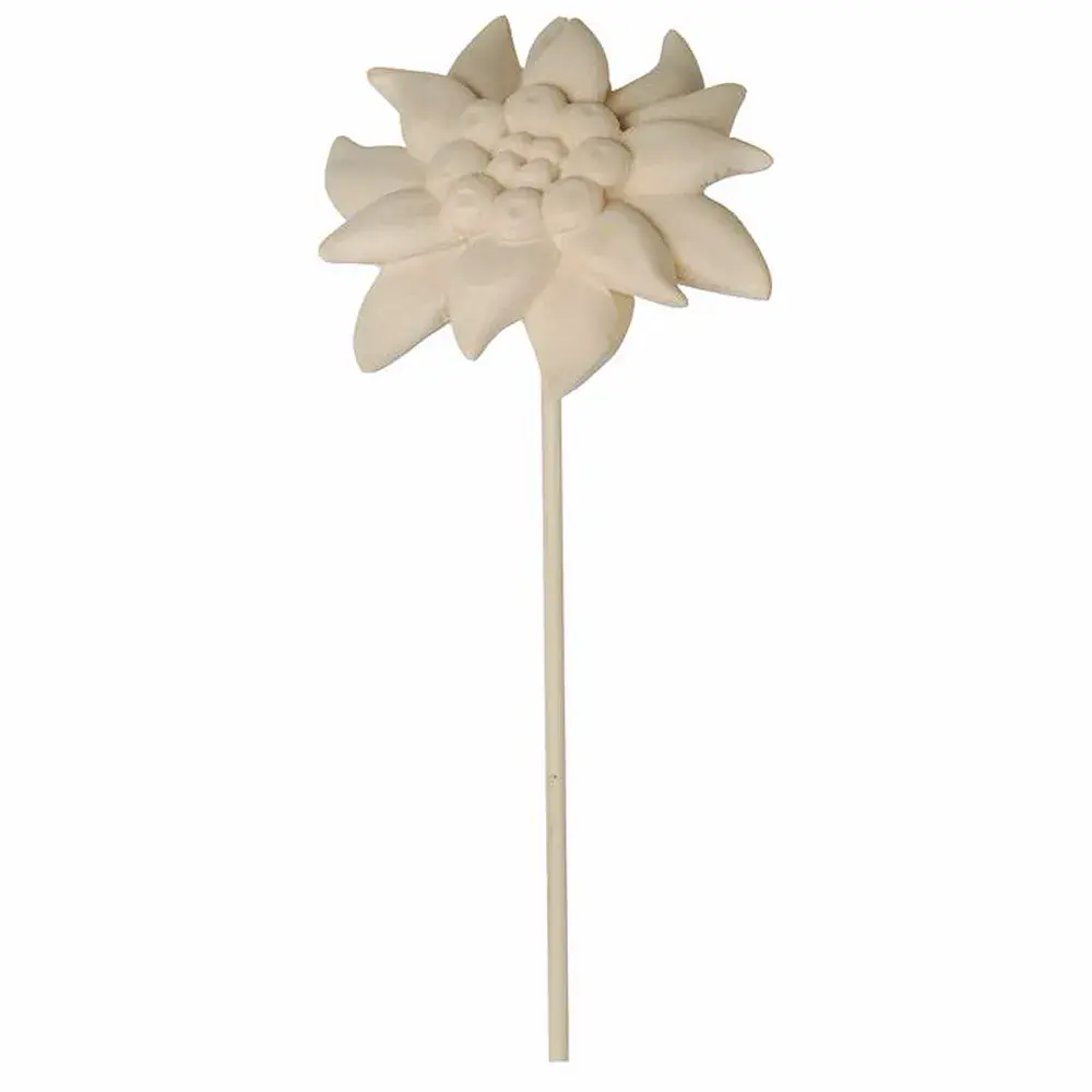 Edelweißblüte zum stecken