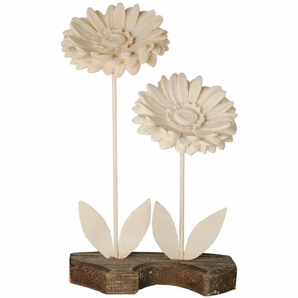 Zwei Gerberablüten mit Holzstängel