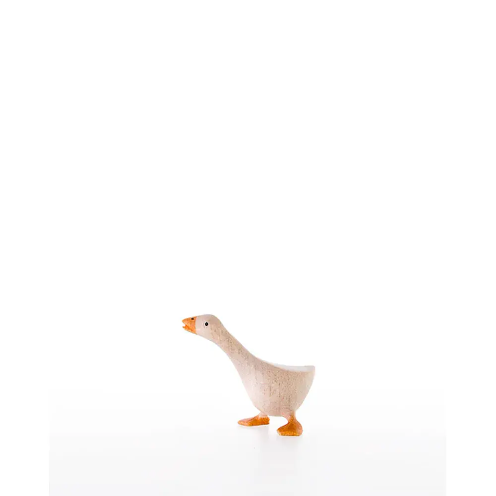 Gans seitwaertsschauend