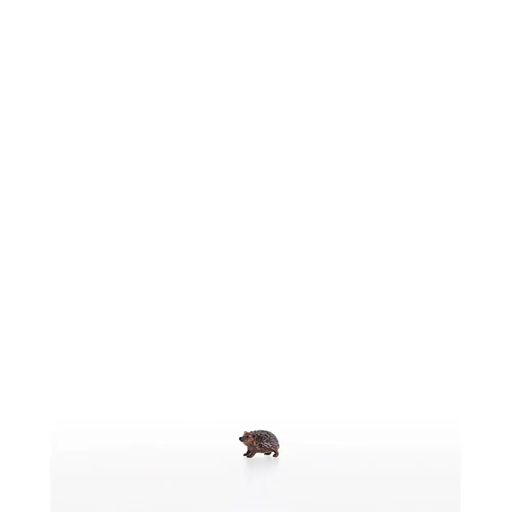 Igel nach oben schauend