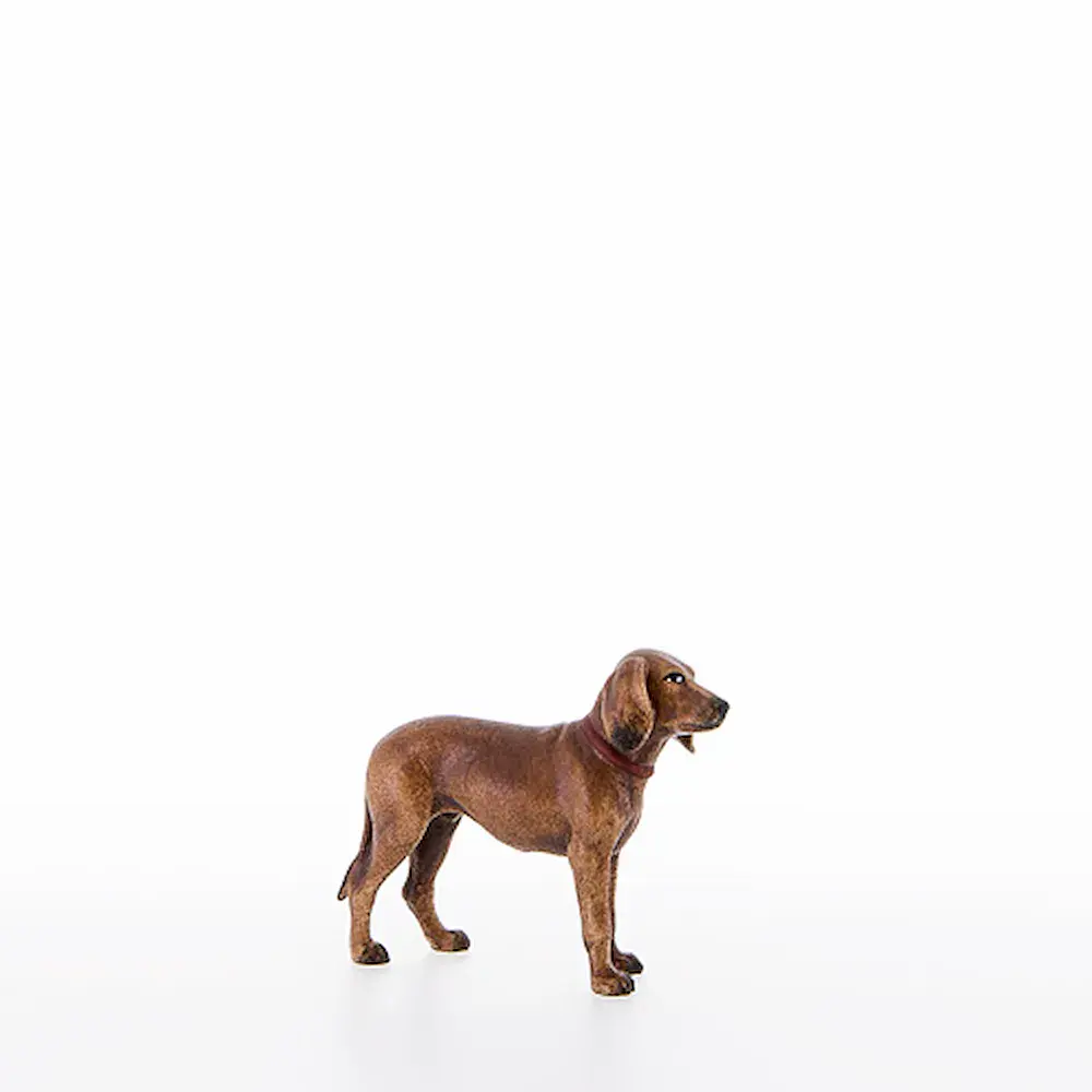 Jagdhund