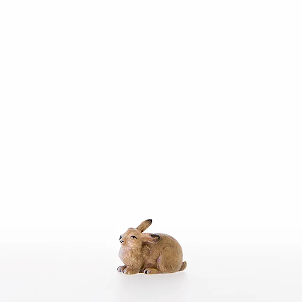 Hase