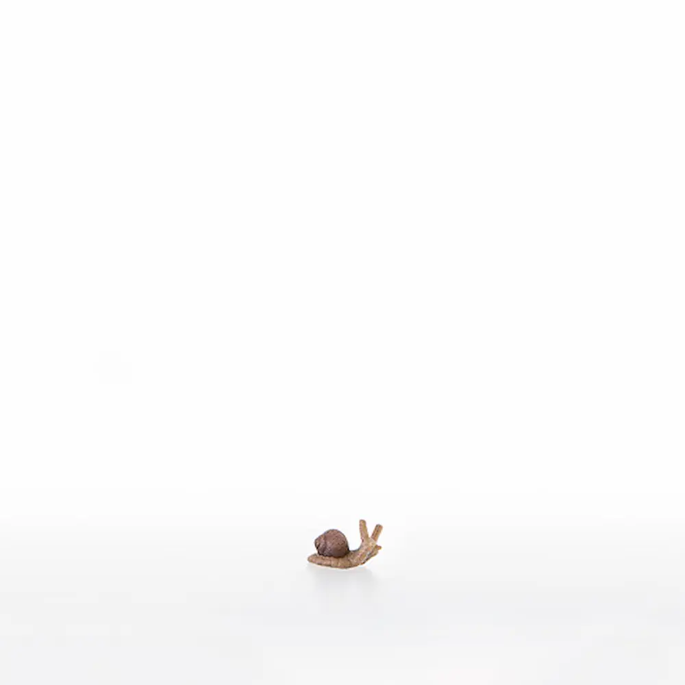 Kleine Schnecke