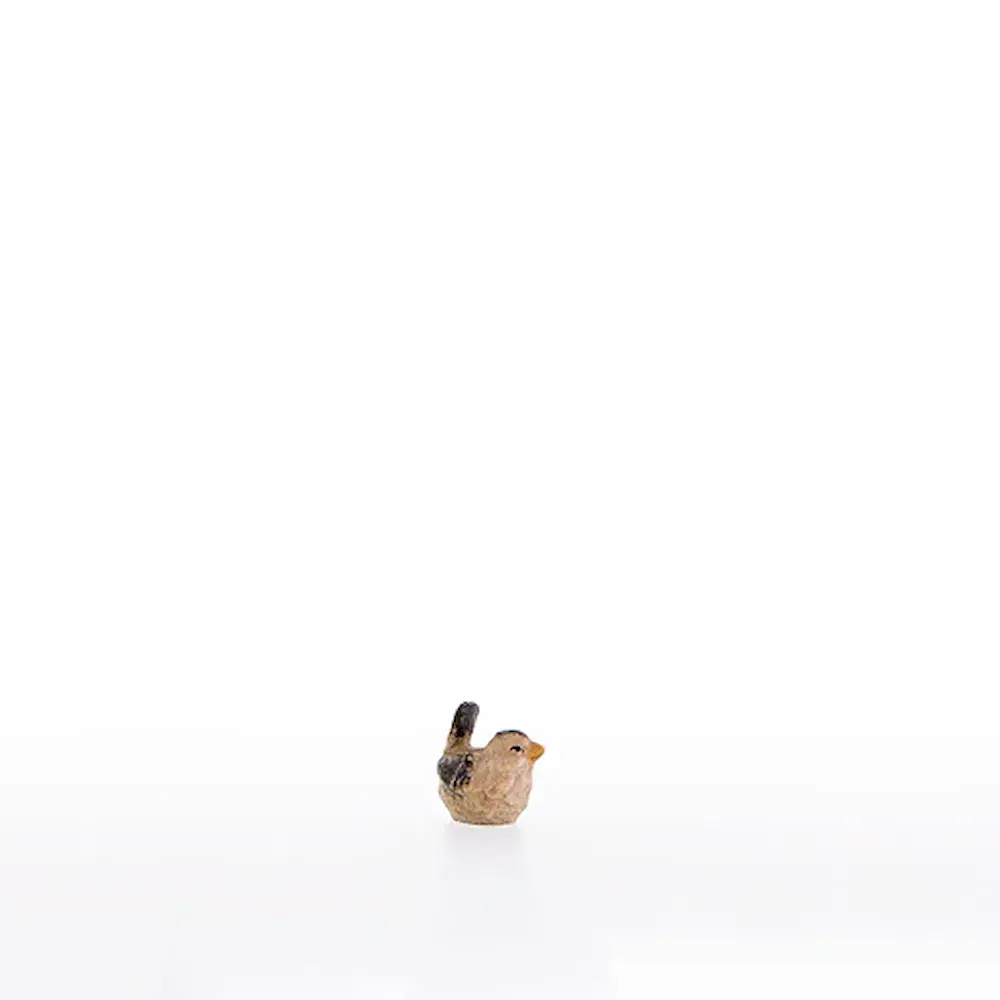 Kleiner Vogel (Spatz Schwanz oben)