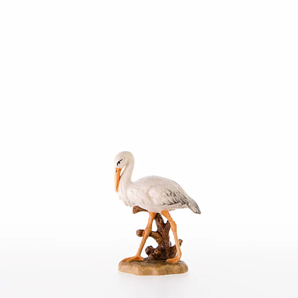Storch