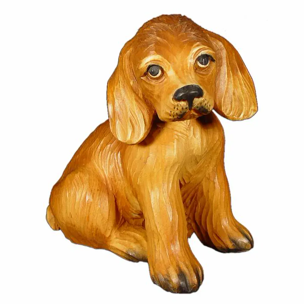 Cocker cachorro