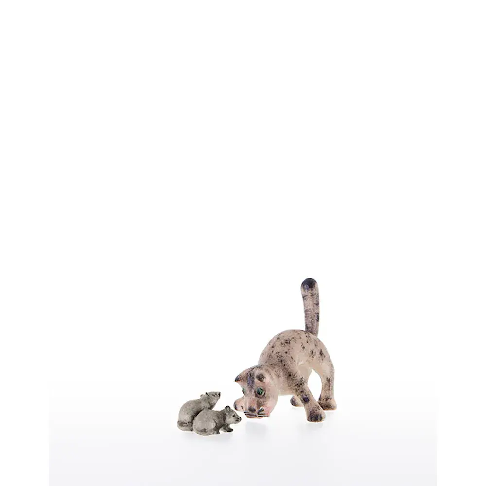 Gato