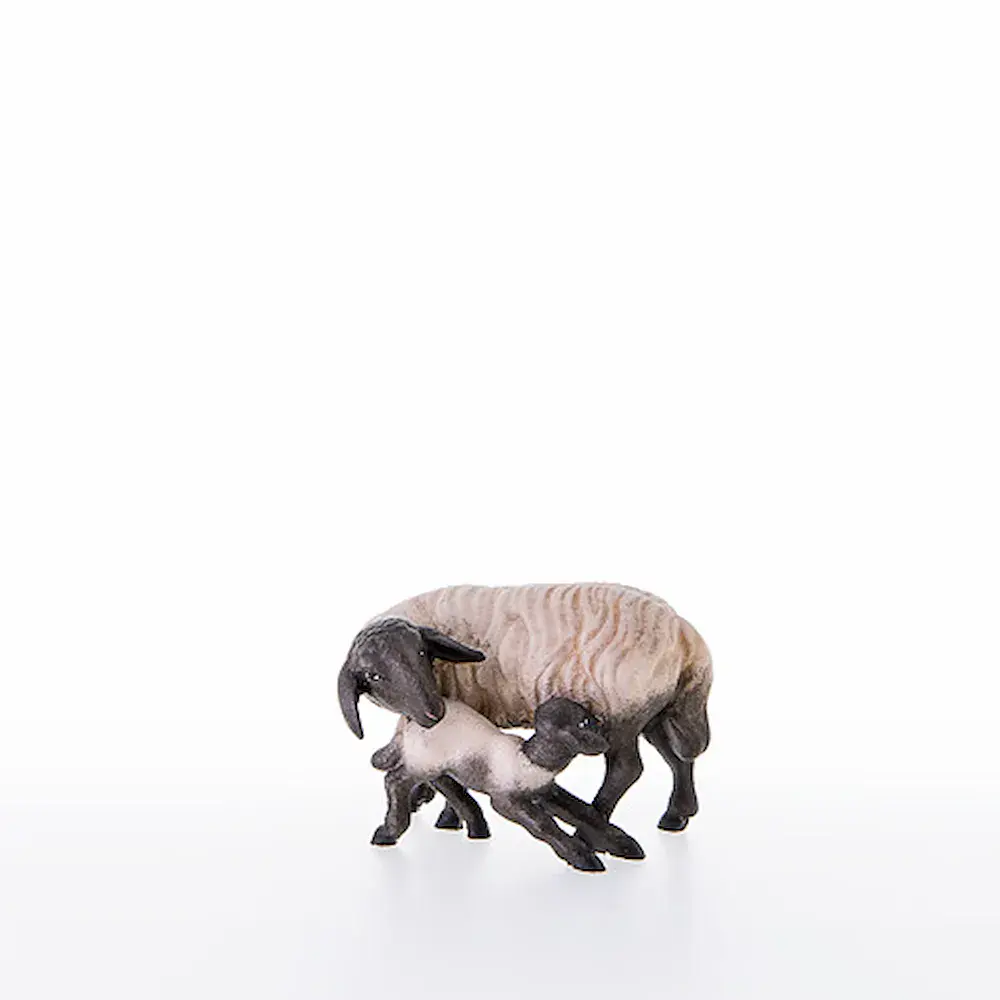 Oveja con el cordero e cabeza negra