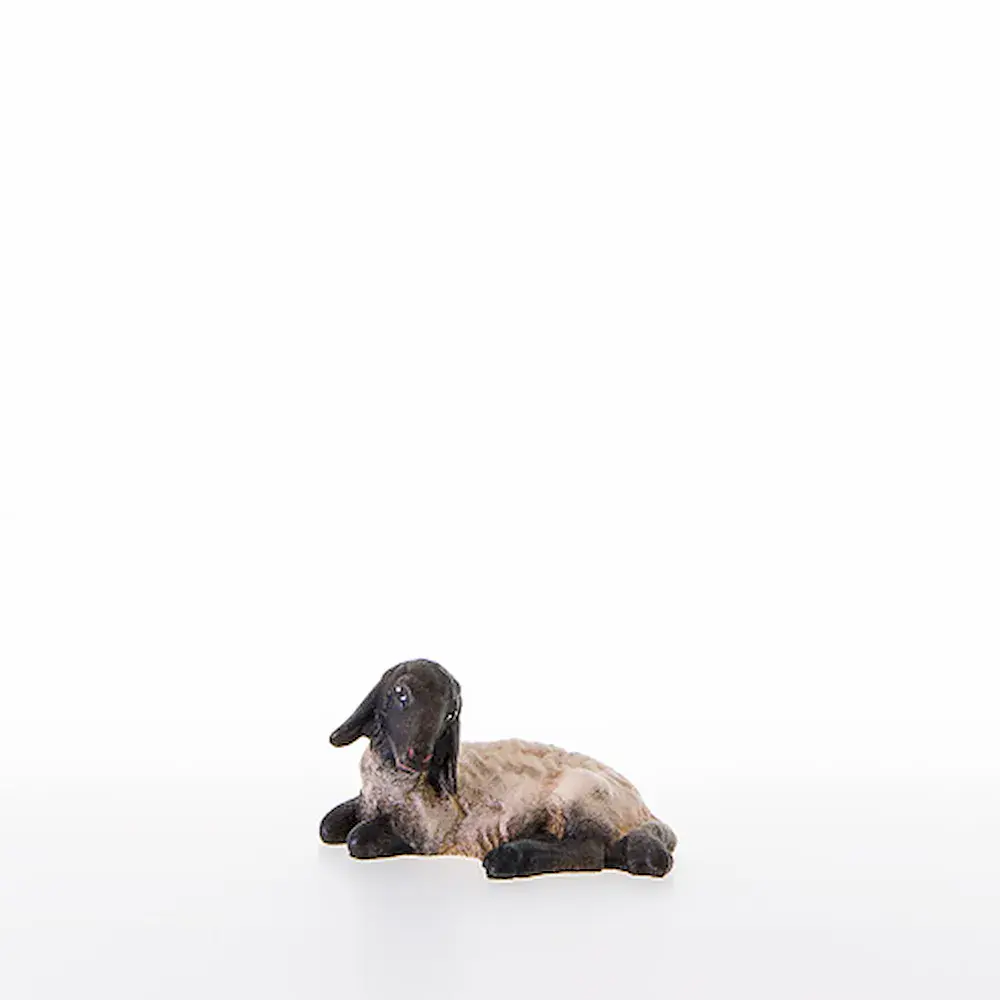 Oveja tumbada con cabeza negra