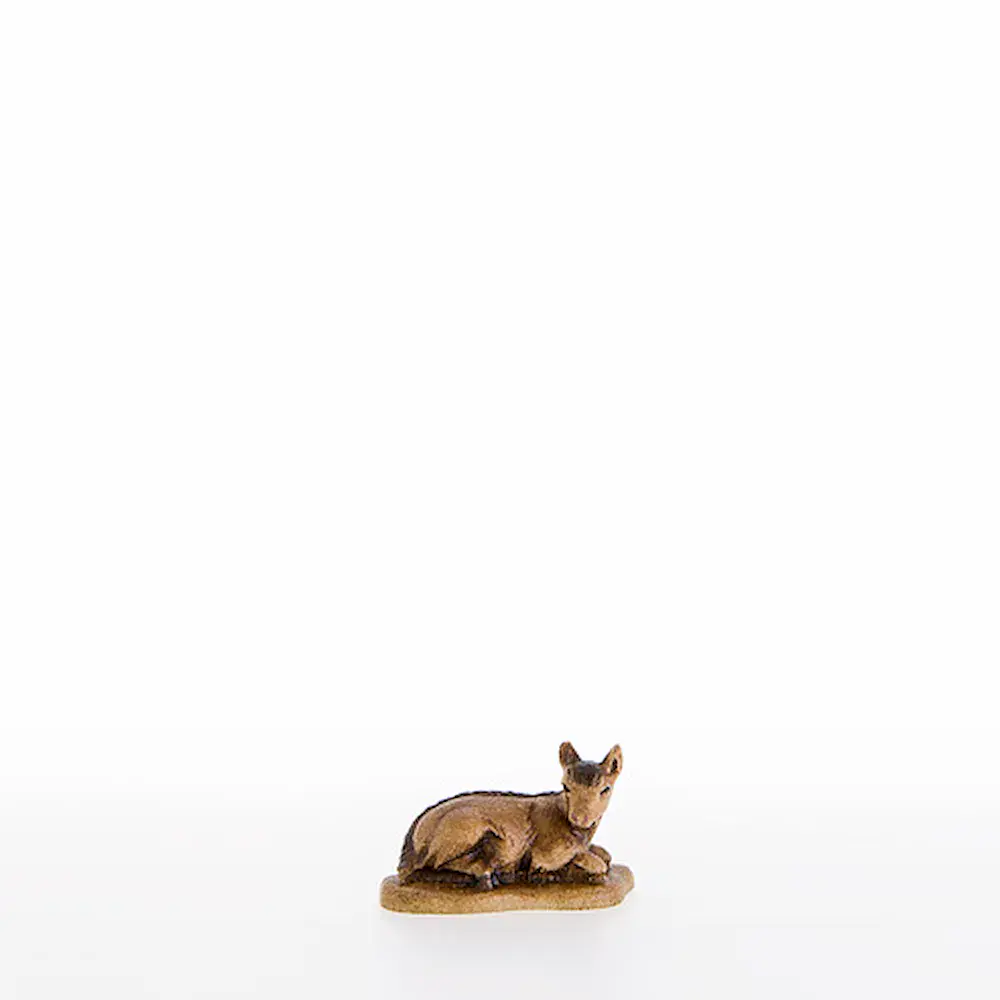 Cabrito acostado