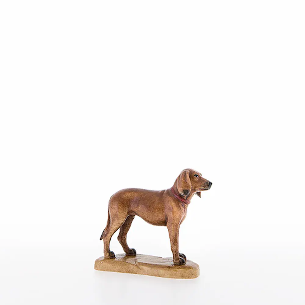 Perro de caza