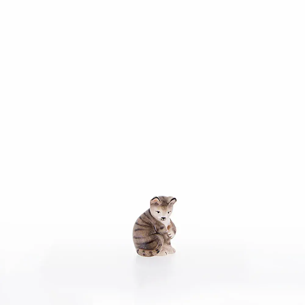 Gato