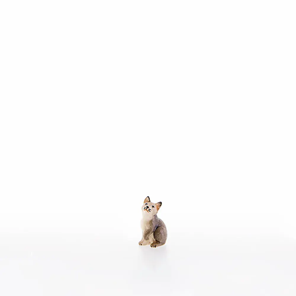 Gatito que se sienta