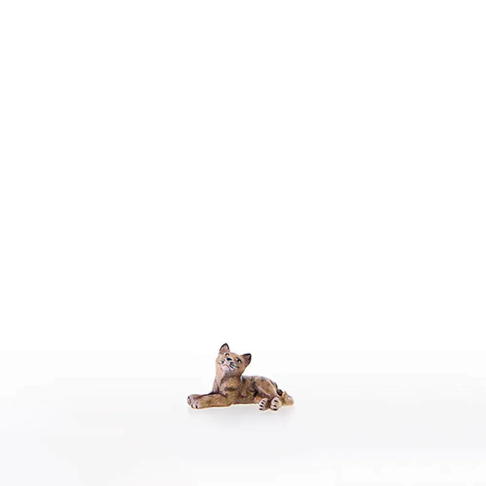 Gatito acostado