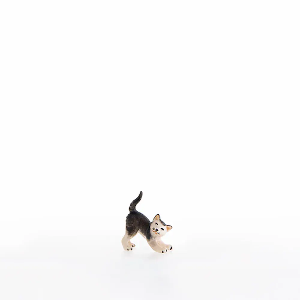 Gatito que ronronea