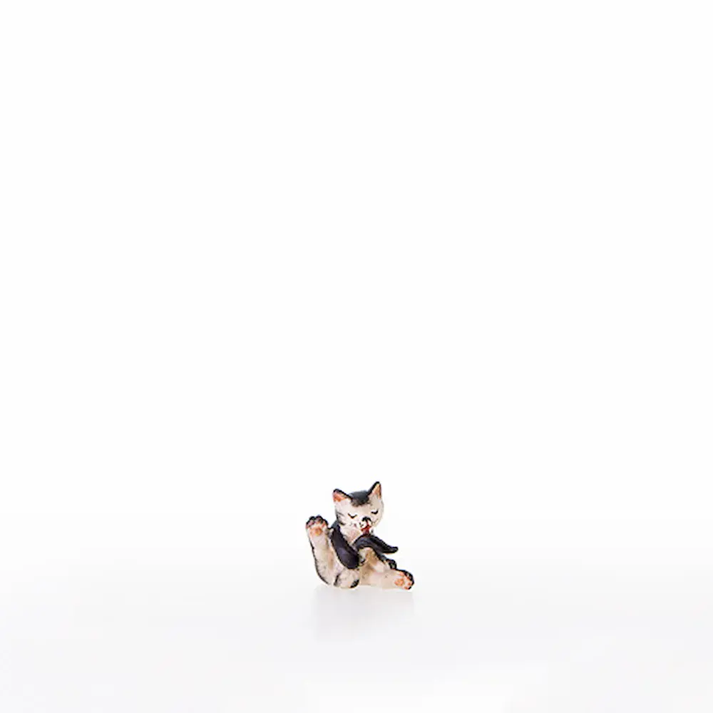 Gatito que se lamen la cola