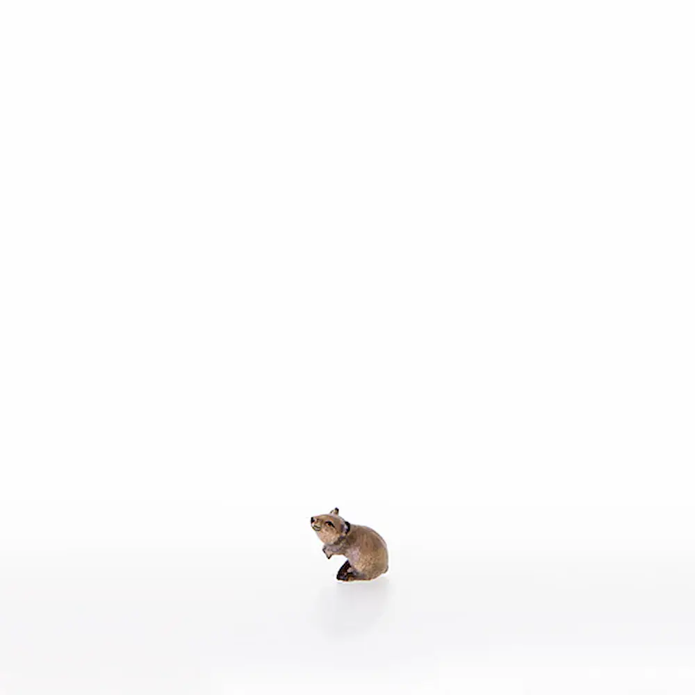 Ratón con patas arriba