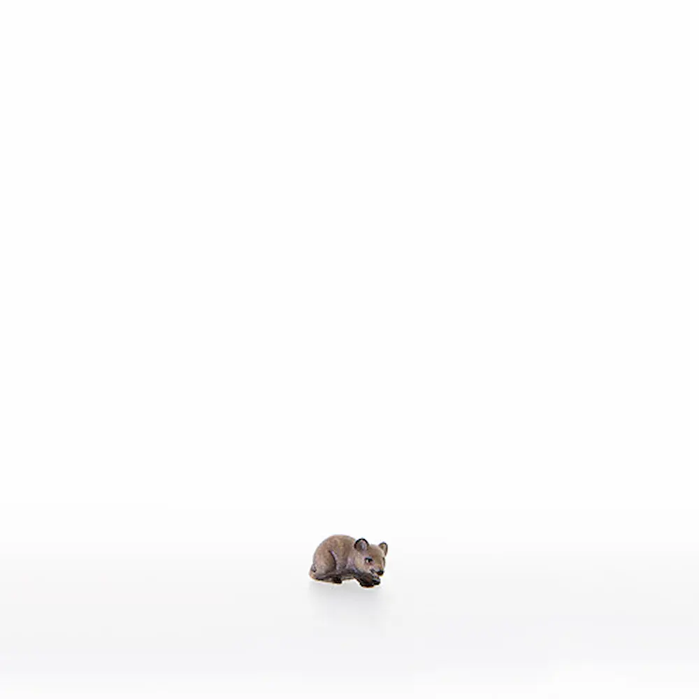 Ratón