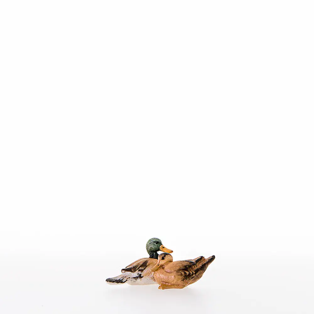 Grupo de patos