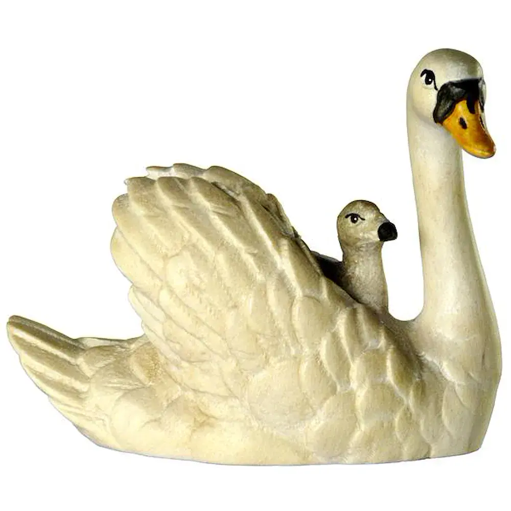 Cisne con hijo su dorso