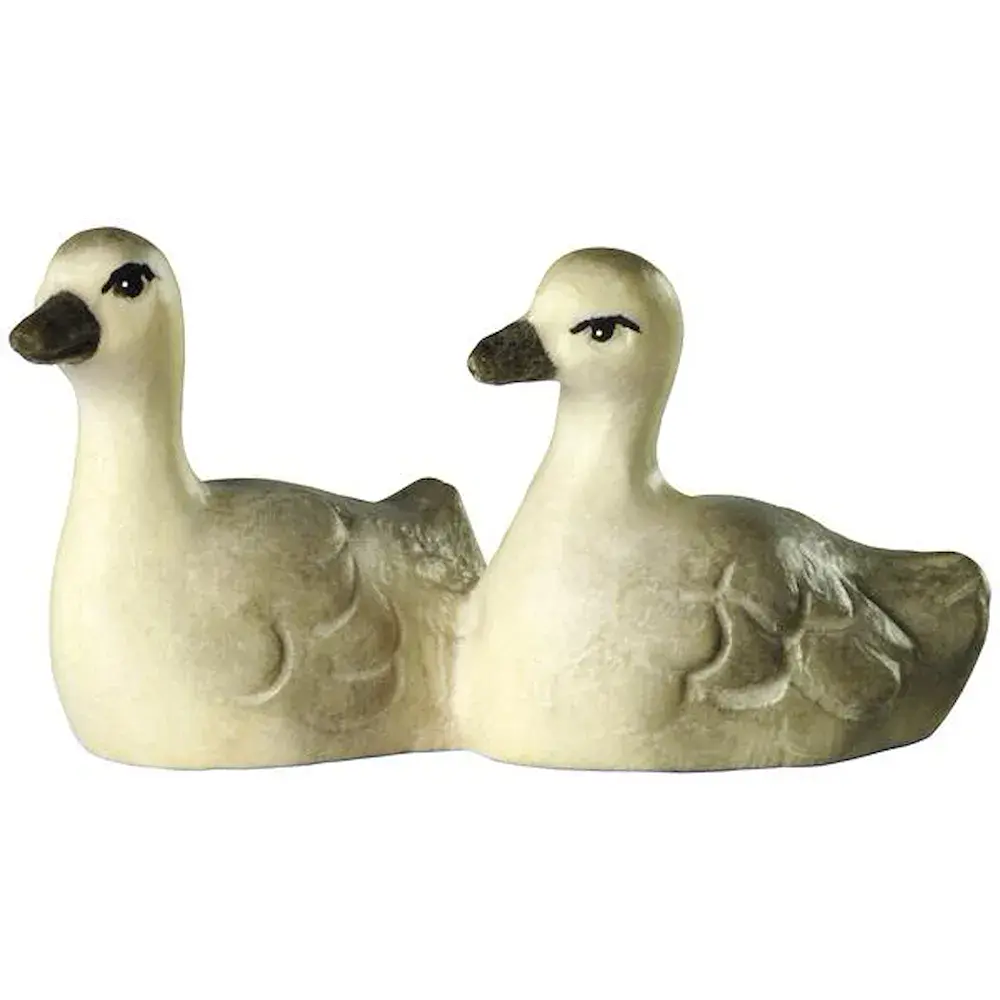2 Hijos de cisne