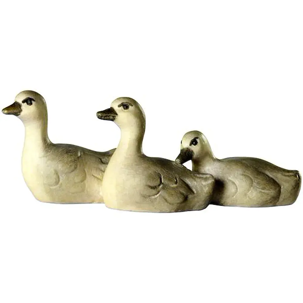 3 Hijos de cisne