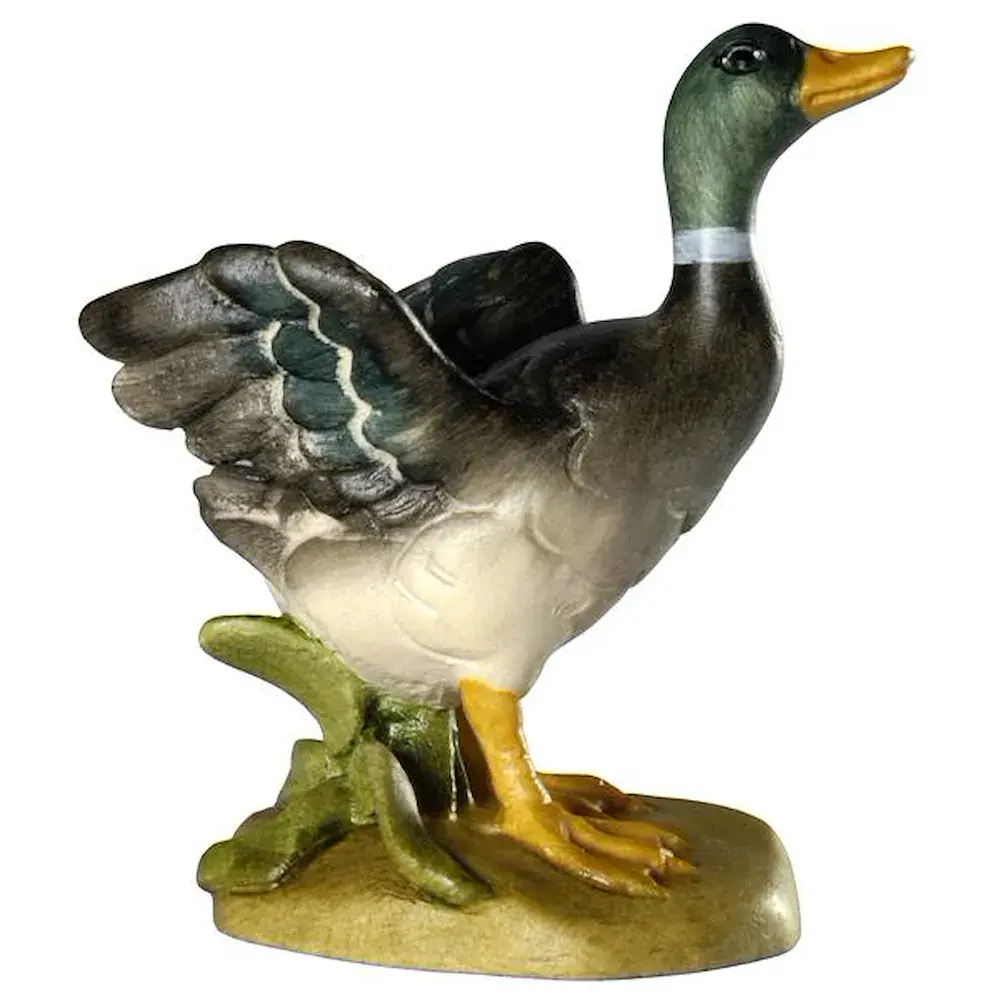 Pato con alas abiertas