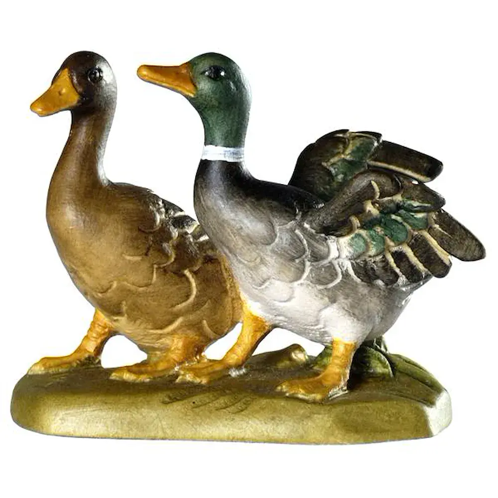 Par de patos