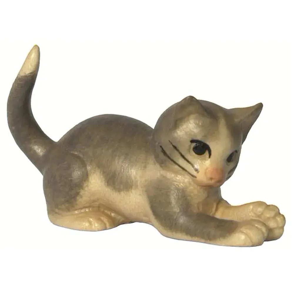 Gato yacente con patas al frente