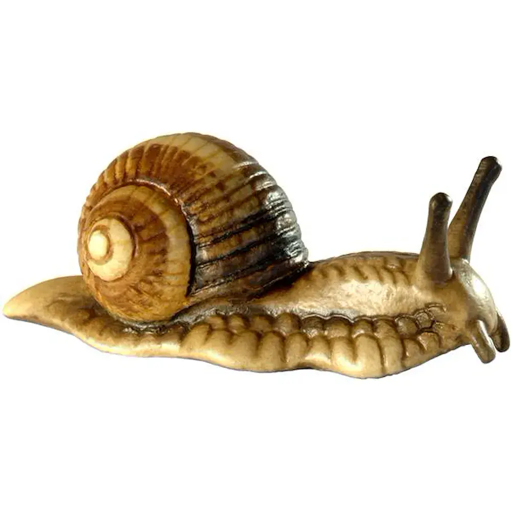 Caracol