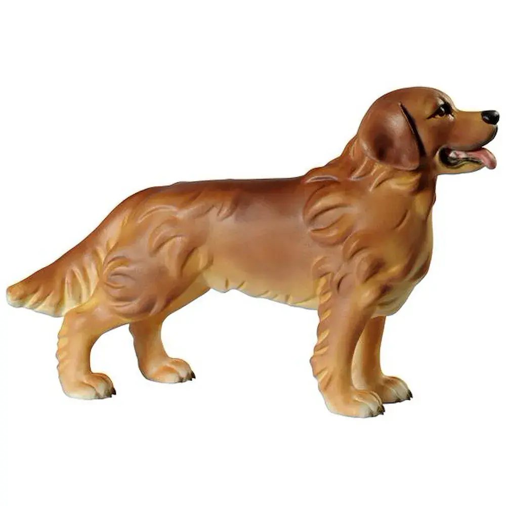 Retriever perro