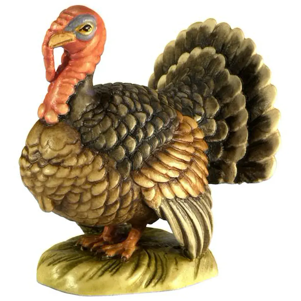 Pavo