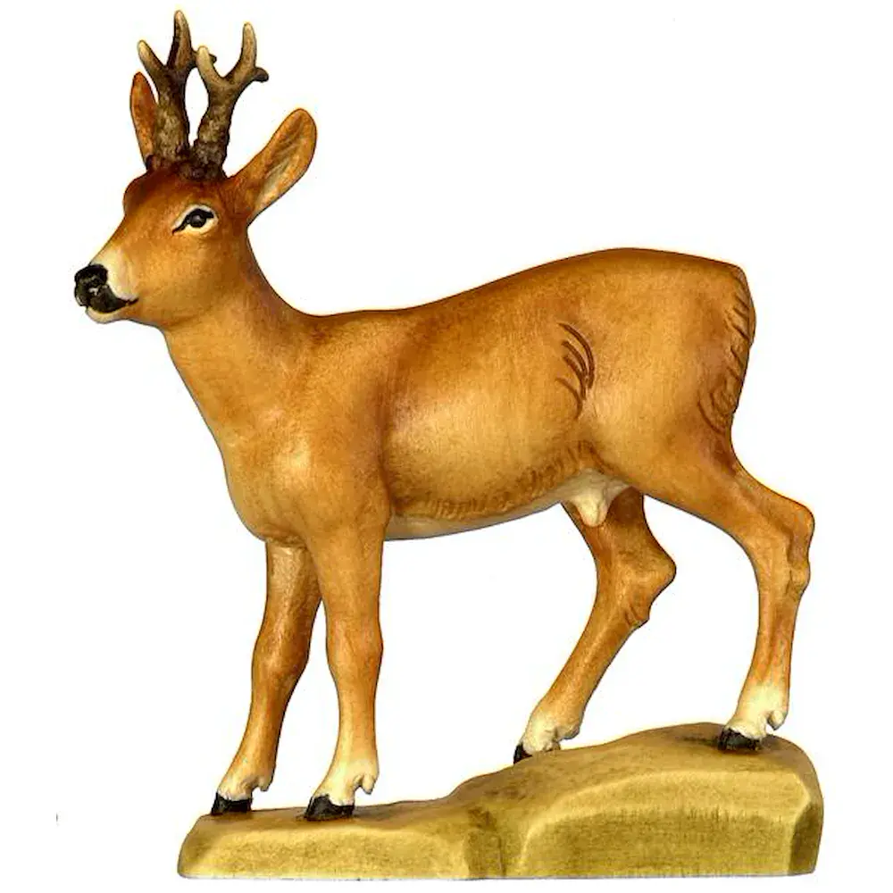 Corzo