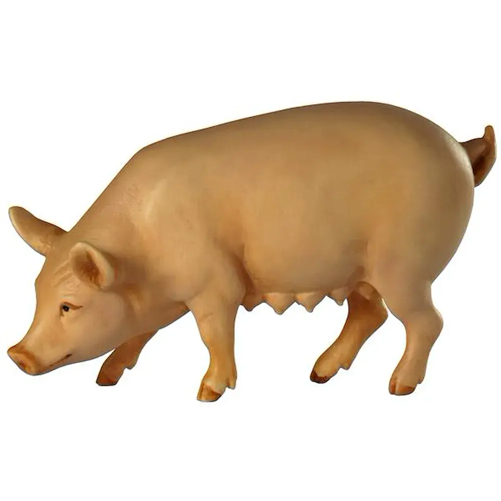 Cerda