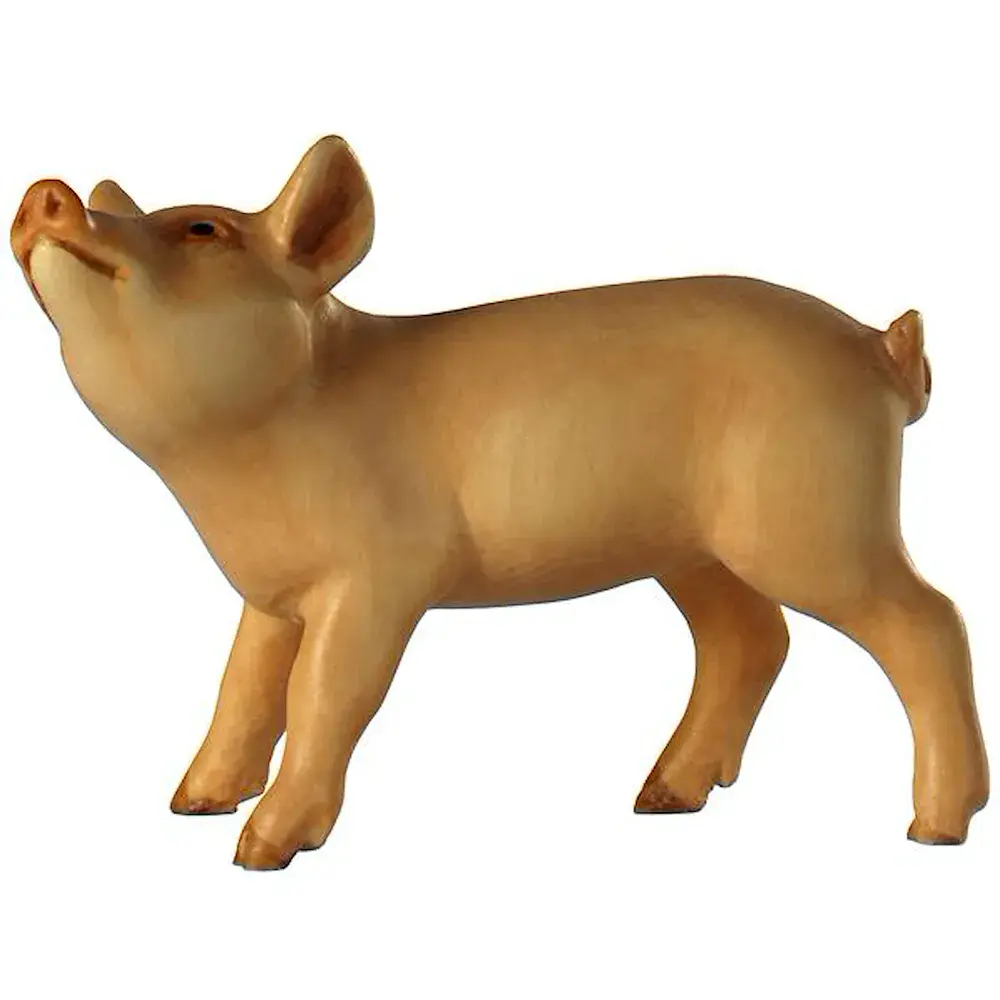 Cochinillo (cabeza arriba)