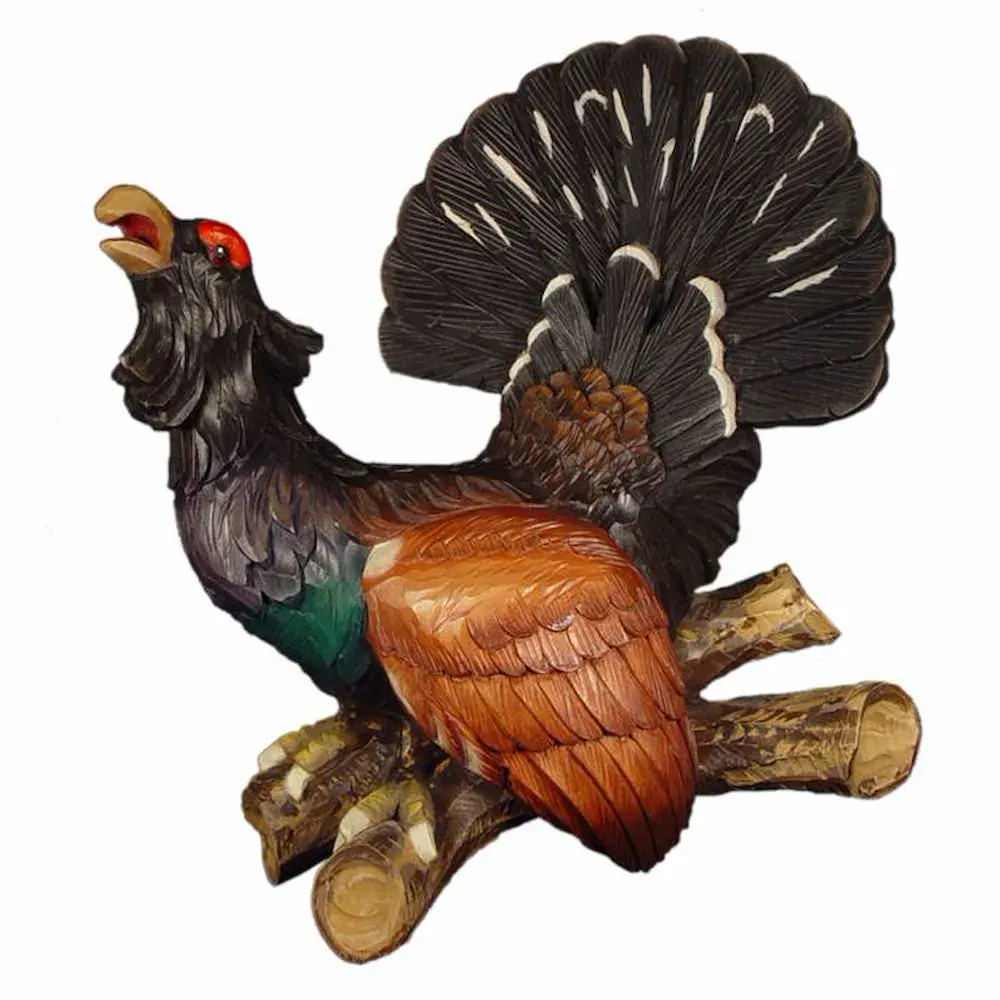 Gallo cedrone
