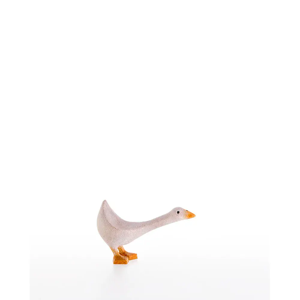Oca inclinata in avanti