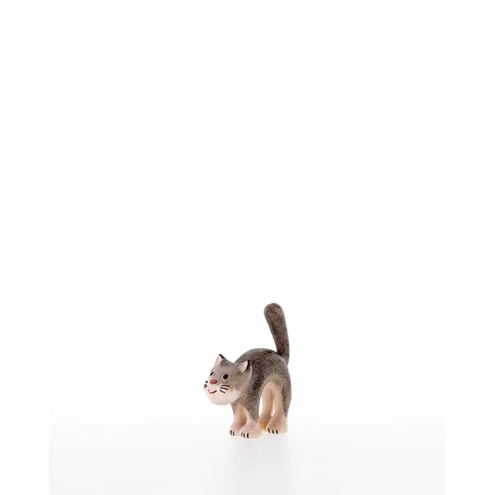 Gatto