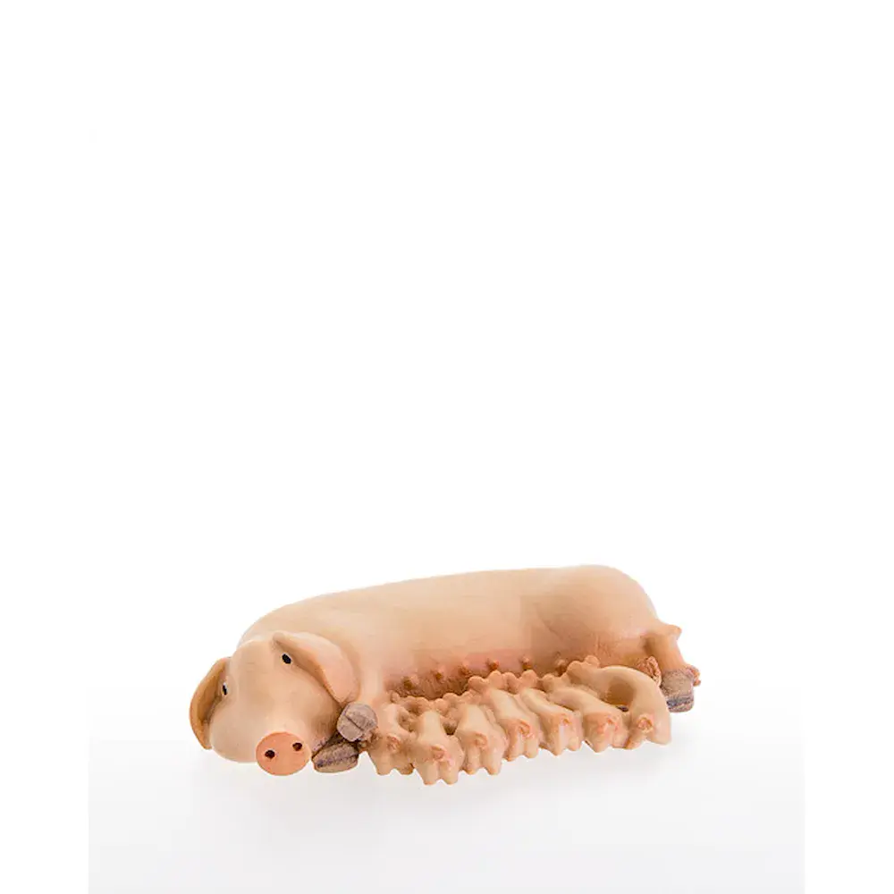 Scrofa con porcellini