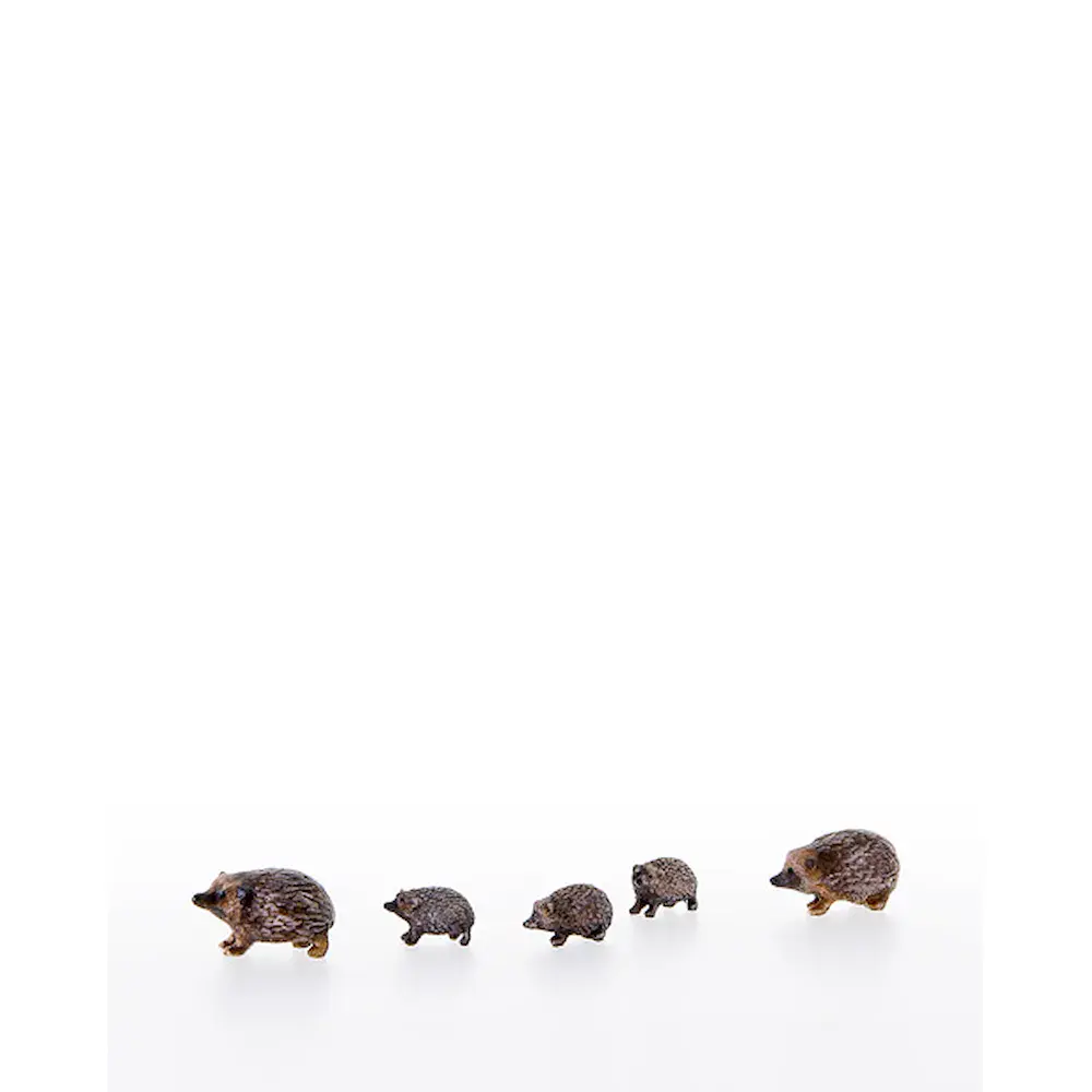 Famiglia di ricci