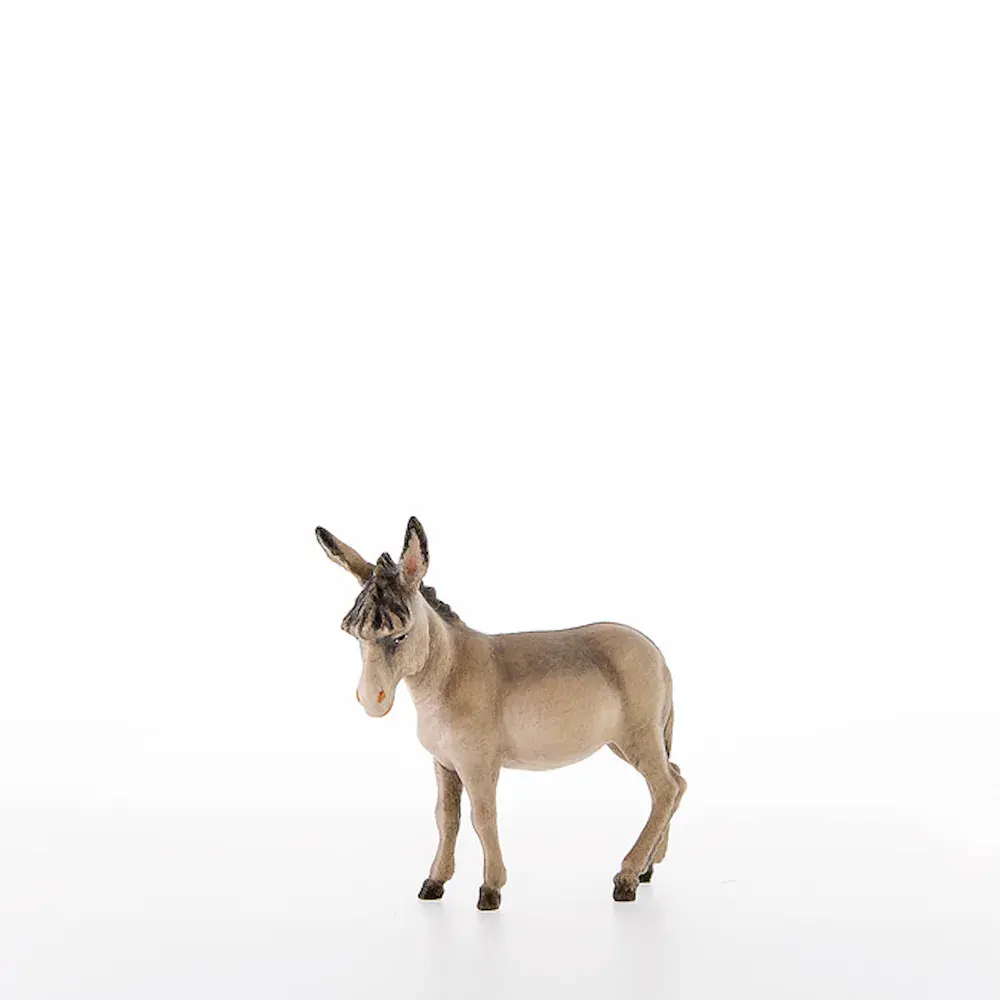 Asino