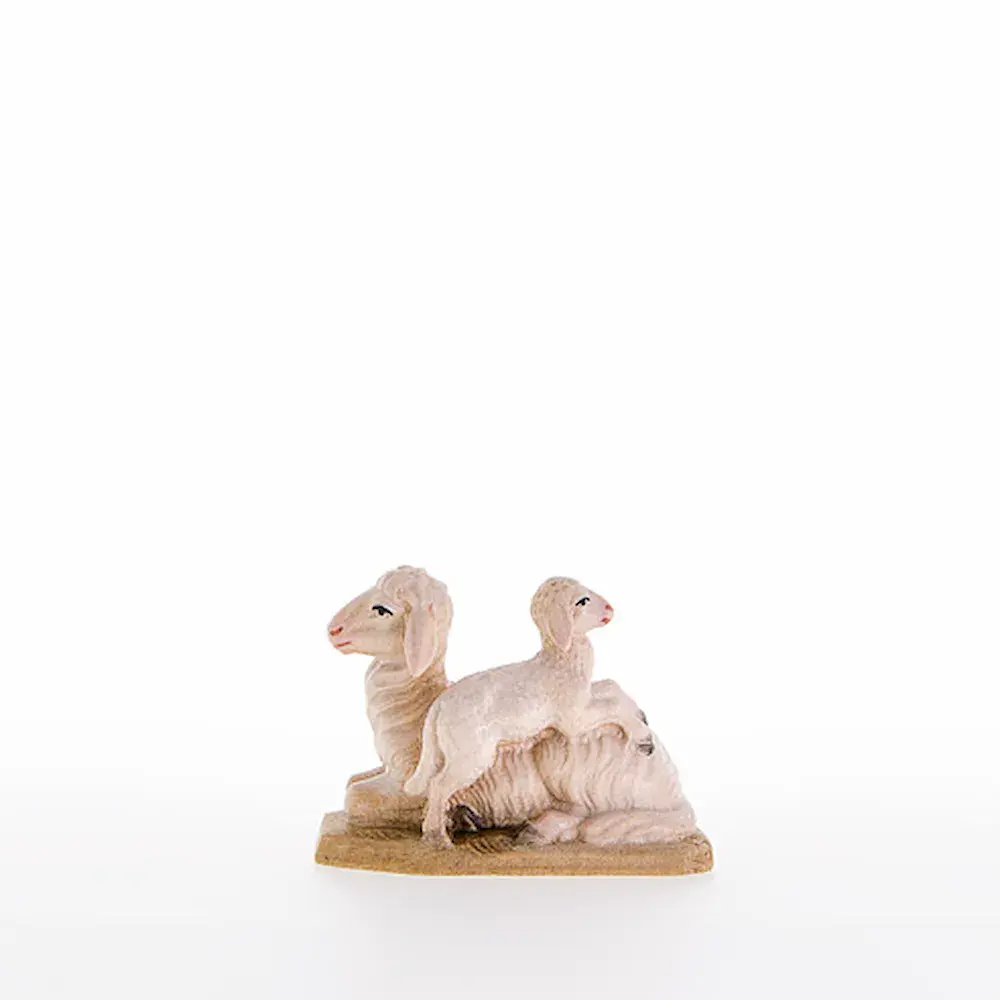 Pecora con agnello