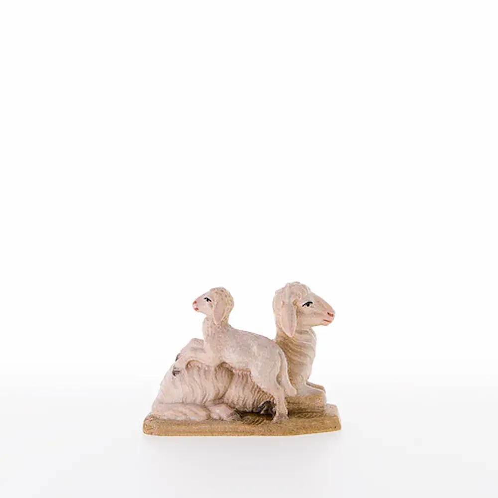 Pecora con agnello