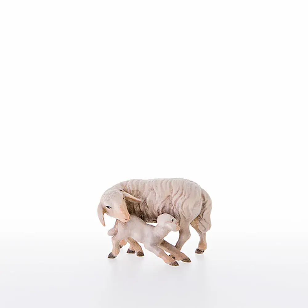 Pecora con agnello
