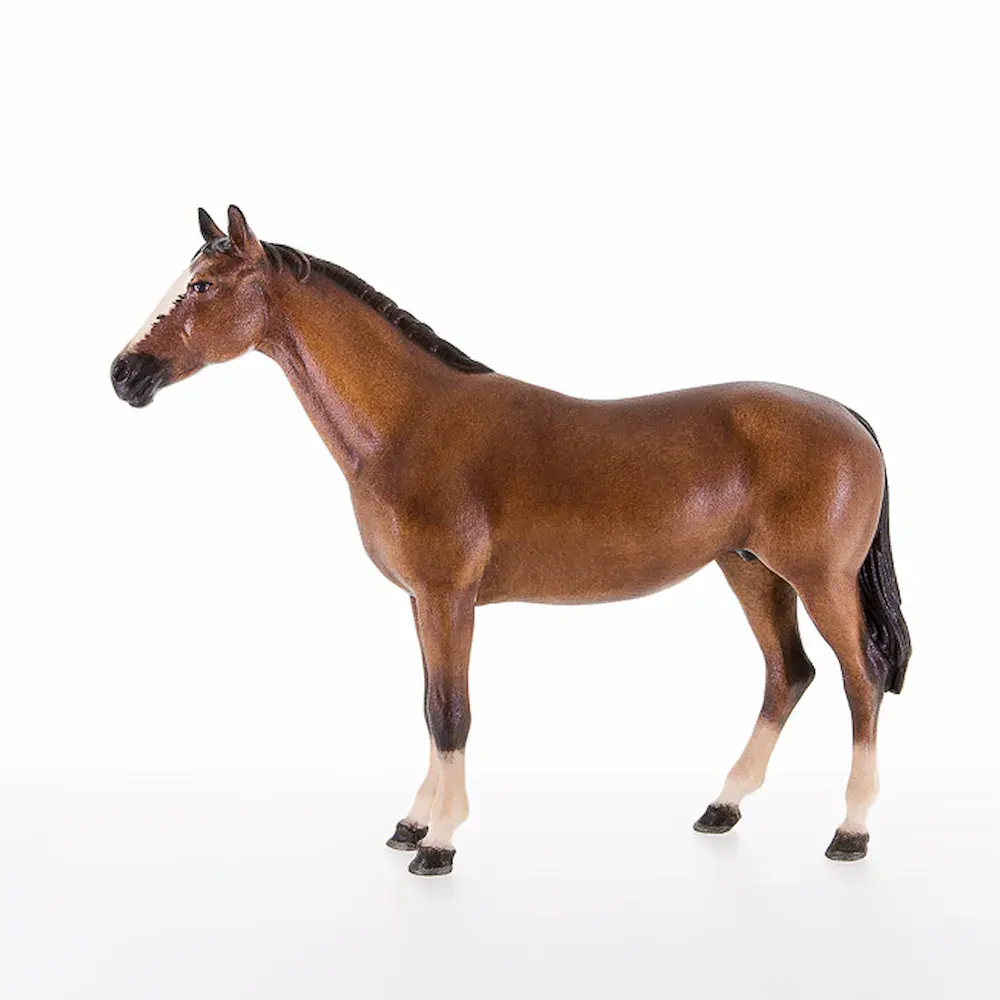 Cavallo