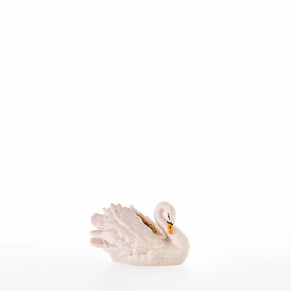 Cigno